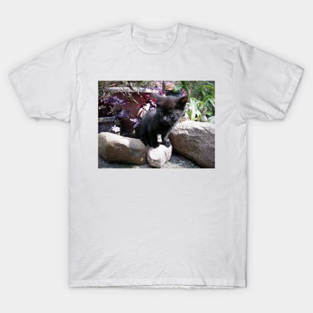 a little cheeky black cat. T-Shirt by Gourmetkater